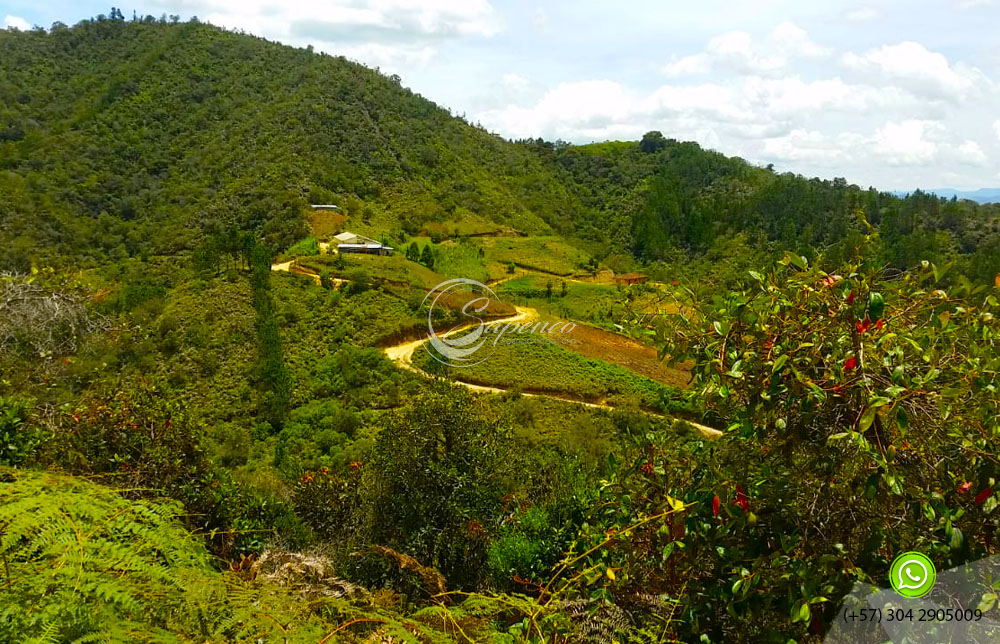 Lote en Guarne 